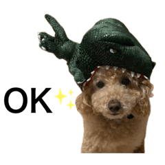 [LINEスタンプ] Kai__stamp