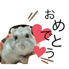 [LINEスタンプ] 小さな天使のささみちゃん