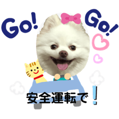 [LINEスタンプ] コロンとチロル
