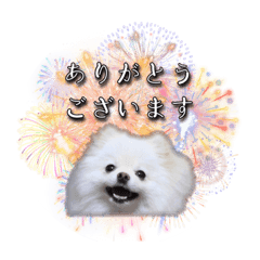 [LINEスタンプ] モナちゃんの日常