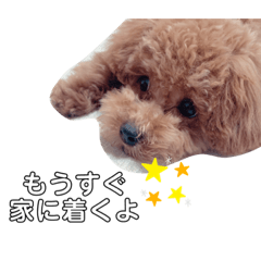 [LINEスタンプ] めろめろまろん♡3