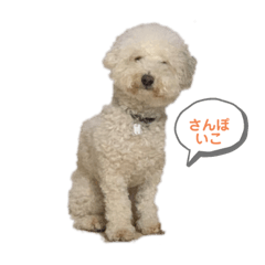 [LINEスタンプ] ロン 2020①
