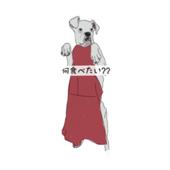 [LINEスタンプ] うちのイッヌ(ホワイトボクサー)