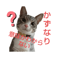 [LINEスタンプ] かずなり(一成)専用銀ちゃんスタンプ