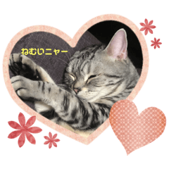 [LINEスタンプ] バニラくんの1日＆時々ショコラちゃん