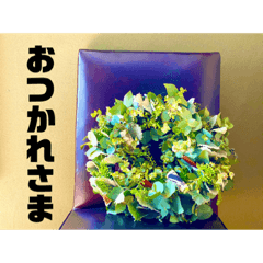 [LINEスタンプ] おしゃれ花の写真③