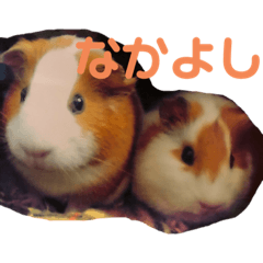 [LINEスタンプ] もふもふ一