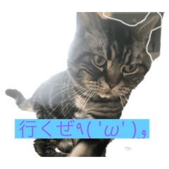 [LINEスタンプ] パール様