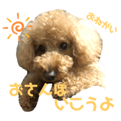 [LINEスタンプ] クゥさまスタンプ