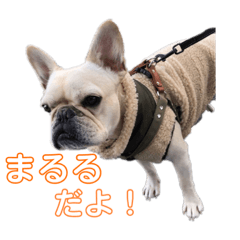 [LINEスタンプ] フレブル まるる