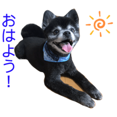 [LINEスタンプ] 黒ポメのポンタくん3