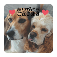 [LINEスタンプ] a ❤︎ b