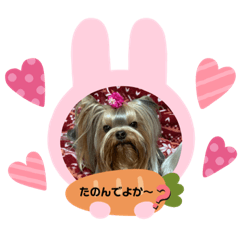 [LINEスタンプ] 可愛い仲良し4姉妹②