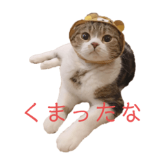 [LINEスタンプ] つくねの日常スタンプ