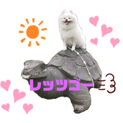 [LINEスタンプ] ポケコロちゃん 3