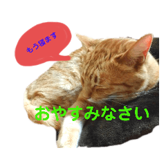 [LINEスタンプ] メルちゃんの日常
