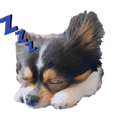 [LINEスタンプ] ひーちゃんまる