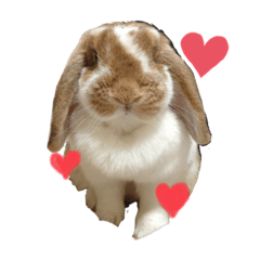 [LINEスタンプ] まろちろにこ②
