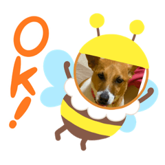 [LINEスタンプ] 可愛いアホ犬スタンプ