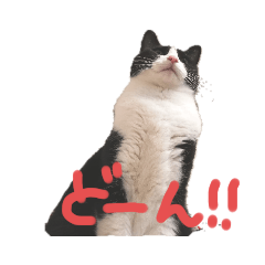 [LINEスタンプ] 石黒カスティエルのつぶやきスタンプ①