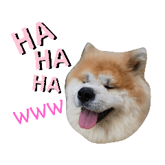 [LINEスタンプ] もふもふモフモフ