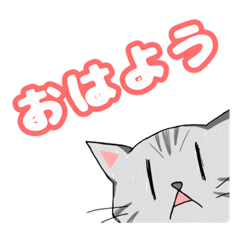 [LINEスタンプ] ゆきちスタンプ その3