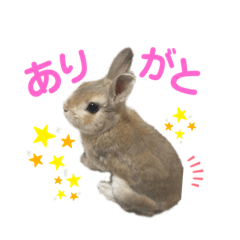 [LINEスタンプ] 僕はミミちゃん