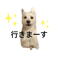 [LINEスタンプ] 色んなぷーすけ
