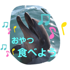[LINEスタンプ] 動物かわいいねスタンプ