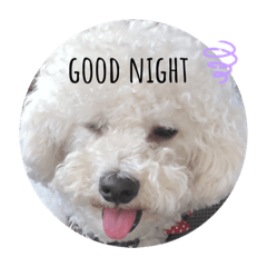 [LINEスタンプ] モジャ丸スタンプ❤️