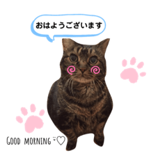[LINEスタンプ] キキ＆マロンの1日