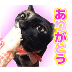 [LINEスタンプ] まるをとあん子