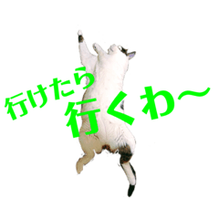 [LINEスタンプ] 晴れたら行こう！