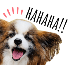 [LINEスタンプ] わんぱくさすけ3