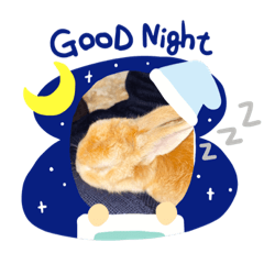 [LINEスタンプ] いおのstamp