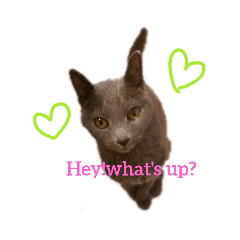 [LINEスタンプ] Poochin