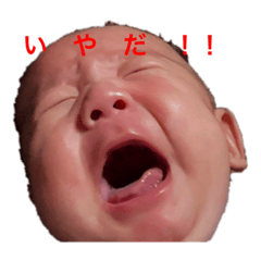 [LINEスタンプ] wagayano kaijyu