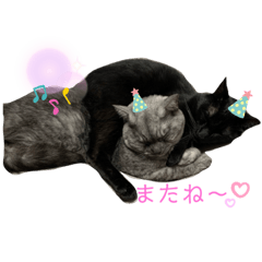[LINEスタンプ] まめらむね