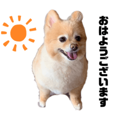 [LINEスタンプ] ななこななこ1