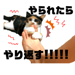 [LINEスタンプ] わがままギズモ