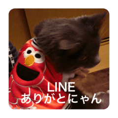 [LINEスタンプ] ゴエモン_カットハウスキャッツ