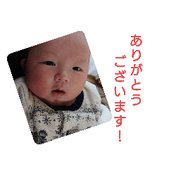 [LINEスタンプ] 土田樹