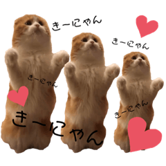 [LINEスタンプ] きなこもちさん。2