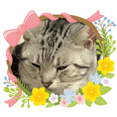 [LINEスタンプ] uriuribo