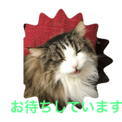 [LINEスタンプ] イエモン