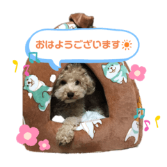 [LINEスタンプ] ソラくんナギくん