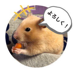 [LINEスタンプ] さんちゃん ペット