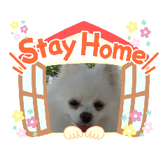 [LINEスタンプ] チョコミント＆くぅちゃん♡