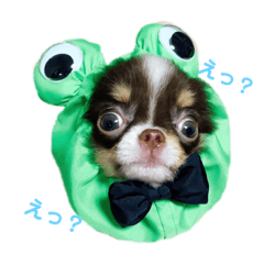[LINEスタンプ] PoPo♡Roy