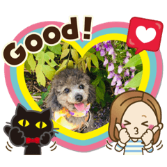 [LINEスタンプ] chocoとRinとBooのスタンプ